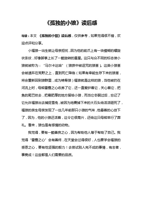 《孤独的小狼》读后感