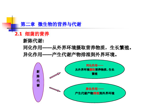 水处理微生物学(第五讲)