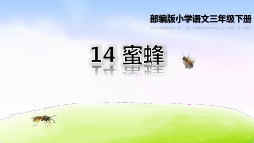 蜜蜂赏析PPT优秀课件.pptx