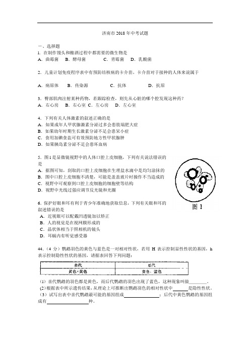 2018年山东省济南市中考生物试题