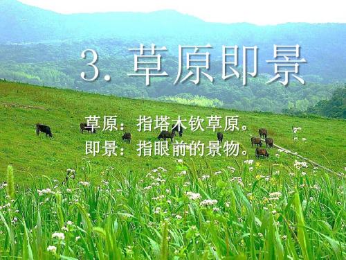 草原即景- 优秀PPT课件2