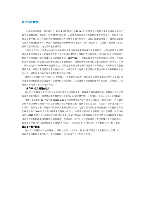 蛋白芯片技术