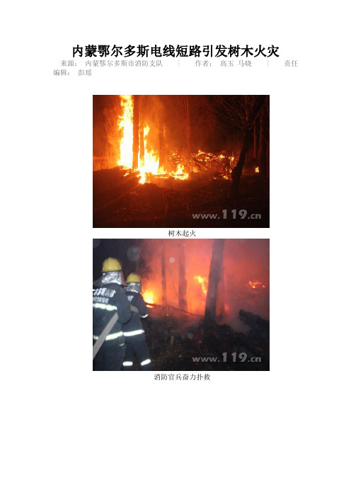 典型电气火灾(内蒙鄂尔多斯树木火灾2015)