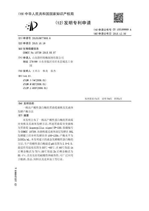 一株高产酸性蛋白酶的黑曲霉菌株及其液体发酵产酶方法[发明专利]