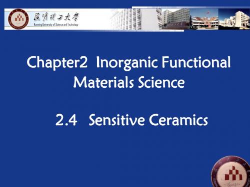 2.4敏感陶瓷资料