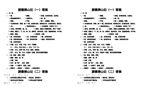 游褒禅山记  答案