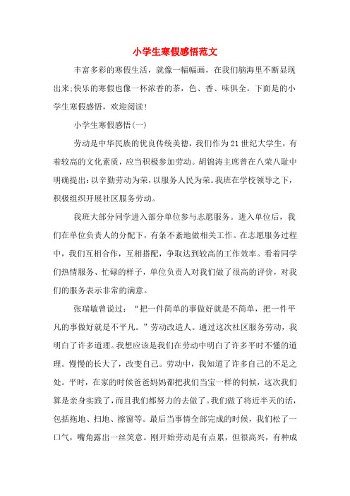 小学生寒假感悟范文