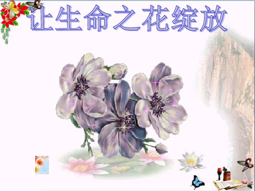 让生命之花绽放PPT优秀课件10 人教版(共30张)
