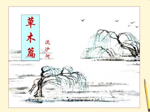 《草木篇》PPT课件(上课用)