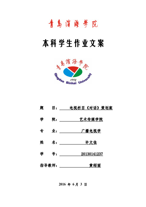电视栏目《对话》策划案