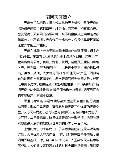 昭通天麻简介