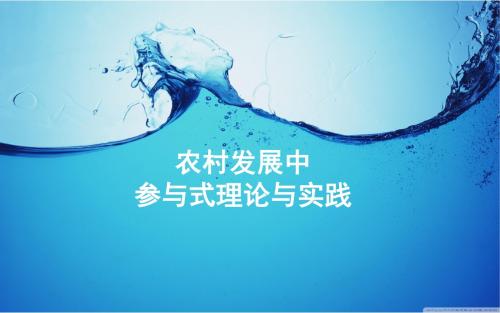 参与式发展