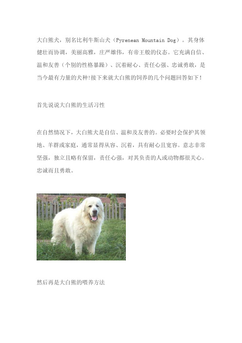 饲养大白熊的几点实用技巧!