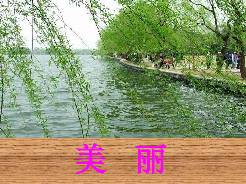 人教版小学语文六年级下册第十八课《跨越百年的美丽》PPT课件