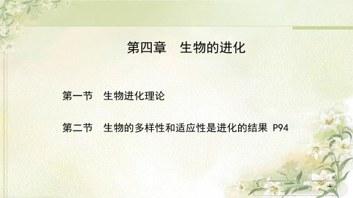 新教材苏教版高中生物必修2第四章生物的进化 精品教学课件