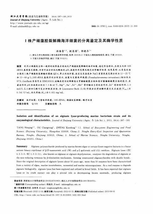 1株产褐藻胶裂解酶海洋细菌的分离鉴定及其酶学性质