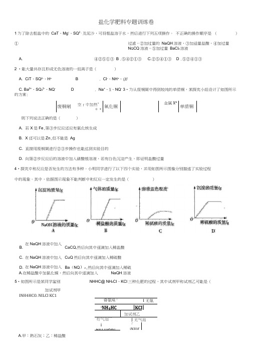 2018年中考化学《盐化学肥料》专题训练卷新人教版