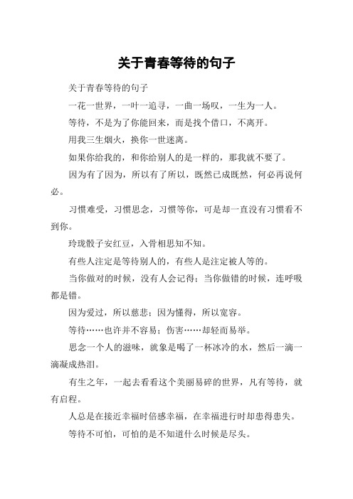 关于青春等待的句子