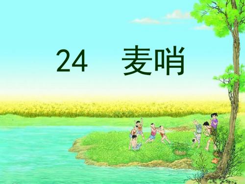 《麦哨》PPT课件
