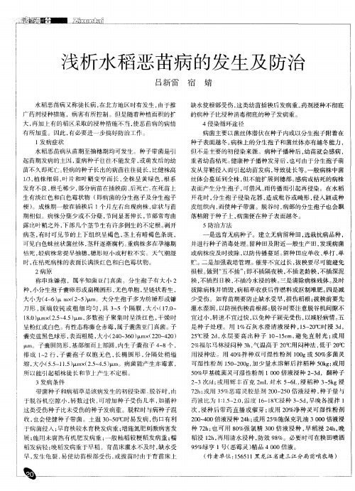 浅析水稻恶苗病的发生及防治