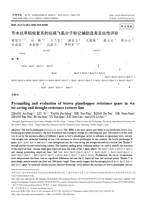 节水抗旱稻恢复系的抗褐飞虱分子标记辅助选育及抗性评价