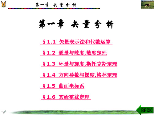 矢量分析