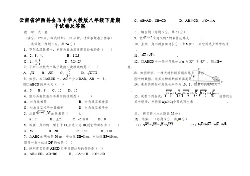 云南省泸西县金马中学人教版八年级下册期中试卷及答案