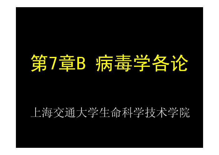 第7章B 病毒
