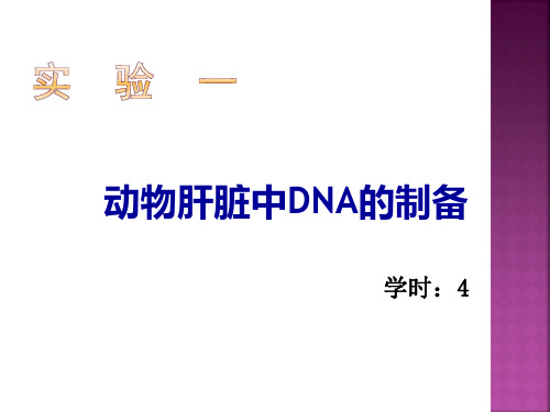 实验2-1 动物肝脏DNA提取..