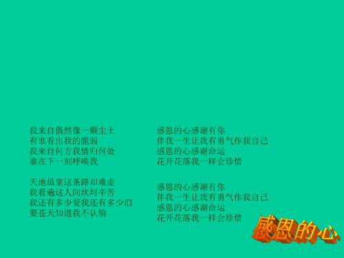 小学生主题班会课件—感恩的心通用版(共41张PPT)