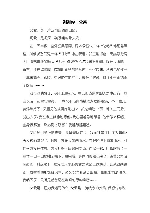 五年级作文：谢谢你,父亲作文500字