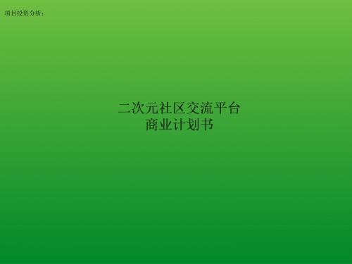 项目投资分析：二次元社区交流平台商业计划书
