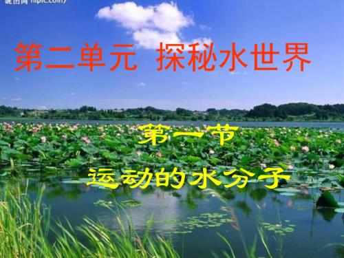 运动的水分子 PPT教学课件 鲁教版