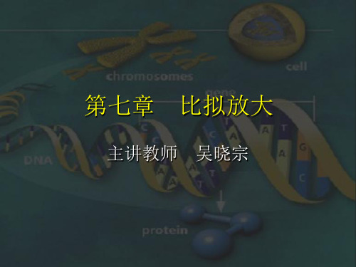比拟放大