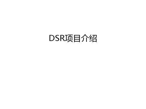 DSR项目介绍教学提纲
