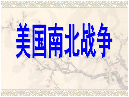 美国南北战争(2014年)