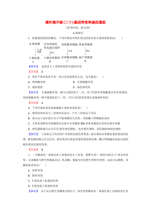 2016高考生物一轮复习：课时提升练20-基因突变和基因重组(含解析)