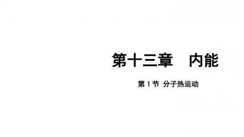 人教版九年级上册物理课件：13.1 分子热运动(共27张PPT)