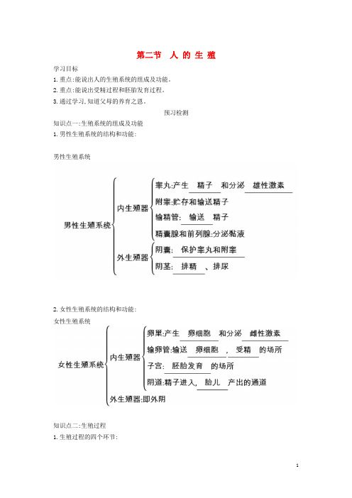 七年级生物下册 1.2 人的生殖导学案 (新版)新人教版