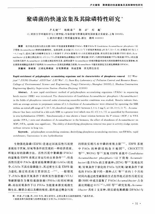 聚磷菌的快速富集及其除磷特性研究