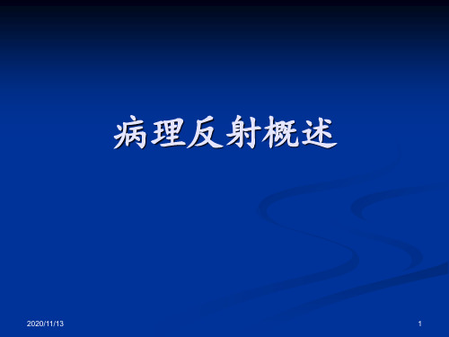 病理征 ppt课件