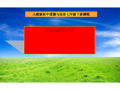 10.1 法律为我们护航 优秀课件(共24张PPT)