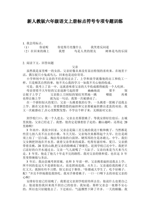 新人教版六年级语文上册标点符号专项专题训练