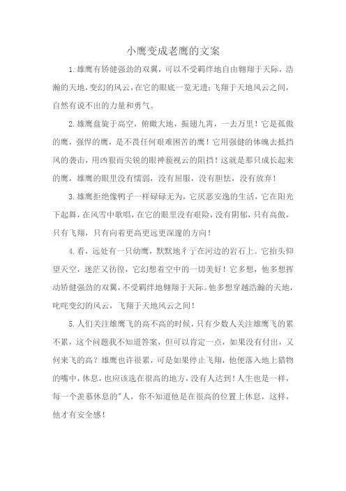 小鹰变成老鹰的文案