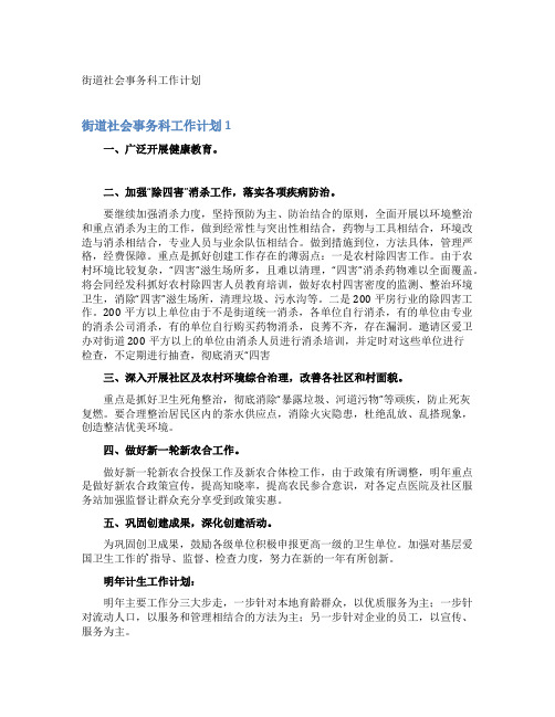 街道社会事务科工作计划