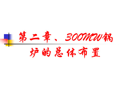 300MW培训二锅炉总体布置解析