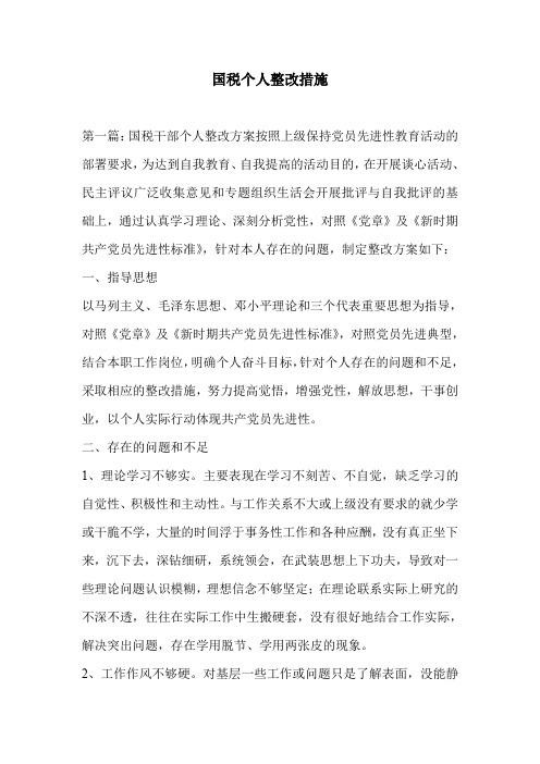 国税个人整改措施
