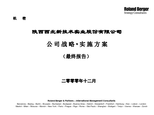 罗兰贝格西北新技术实业咨询报告精品文档