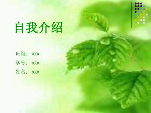 自我介绍.ppt