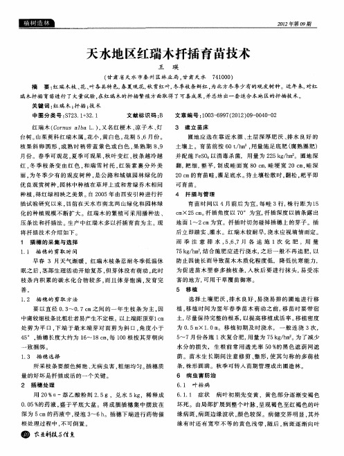 天水地区红瑞木扦插育苗技术